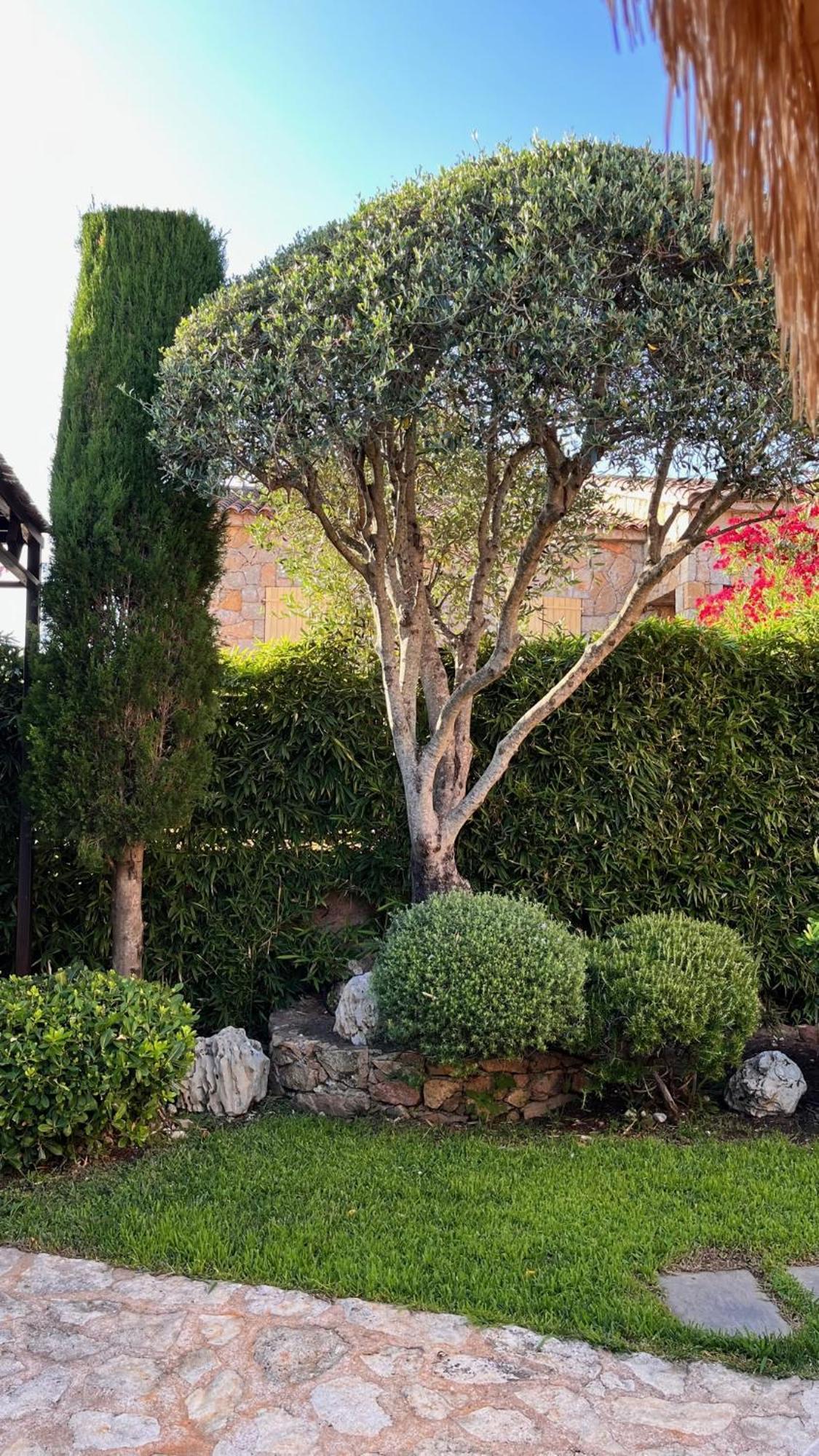 Bed and Breakfast Chez Virginie Porto Vecchio Exterior foto